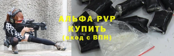 тгк Новодвинск