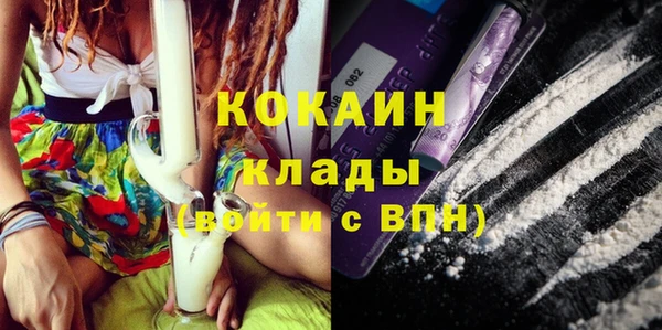 ешки Новозыбков