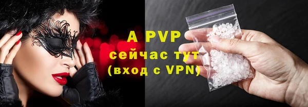 тгк Новодвинск