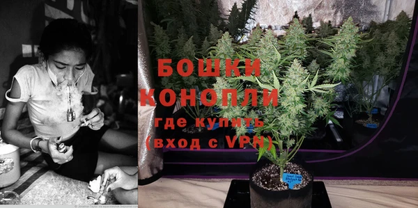 ешки Новозыбков