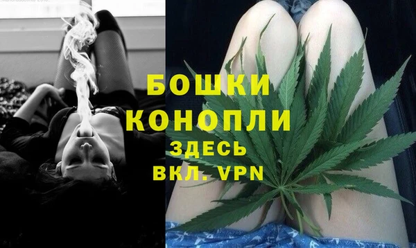 ешки Новозыбков