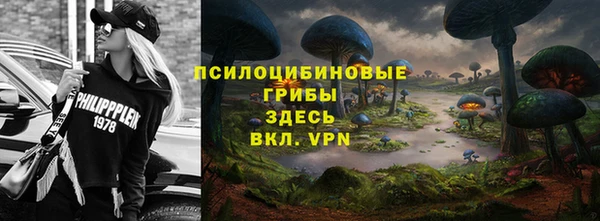 ешки Новозыбков