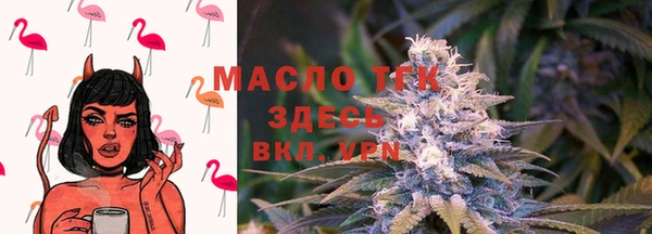 ешки Новозыбков